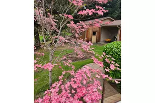 3413 Wild River Dr, Roseburg, OR 97470 - Photo 44