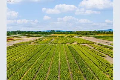 39200 NW Chalmers Ln, Cornelius, OR 97113 - Photo 2