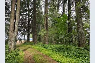 3678 SW Golf Course Rd, Cornelius, OR 97113 - Photo 12
