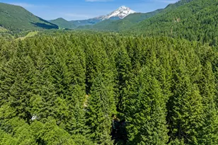 21323 E Pkwy Ave, Rhododendron, OR 97049 - Photo 44