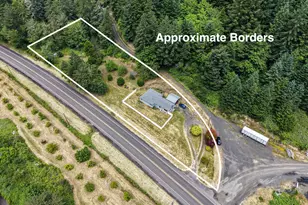 8935 State Hwy 38, Drain, OR 97435 - Photo 44