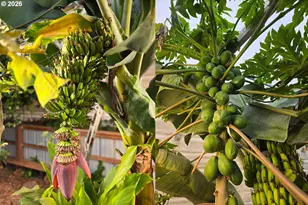 421 Woodland Heights Rd, Woodland, WA 98674 - Photo 32