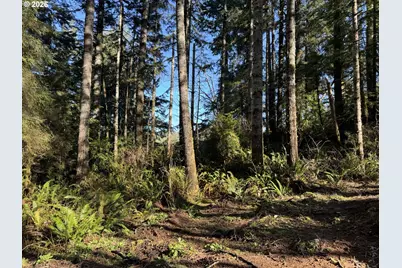 1 Hilltop Dr #601, Lakeside, OR 97449 - Photo 38