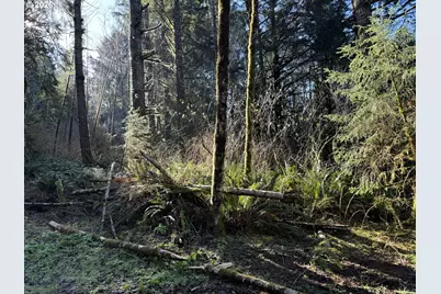 1 Hilltop Dr #601, Lakeside, OR 97449 - Photo 34