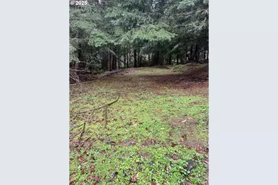 82964 Hungry Hill Rd, Creswell, OR 97426 - Photo 8