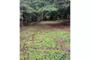 82964 Hungry Hill Rd, Creswell, OR 97426 - Photo 8