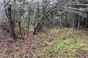 82964 Hungry Hill Rd, Creswell, OR 97426 - Photo 10