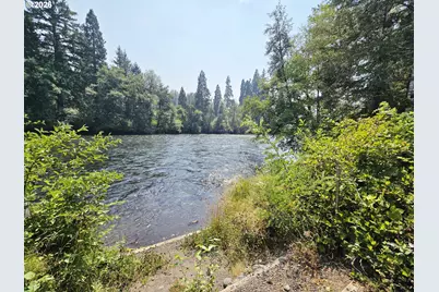 54460 McKenzie River Dr, Blue River, OR 97413 - Photo 4