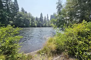 54460 McKenzie River Dr, Blue River, OR 97413 - Photo 4