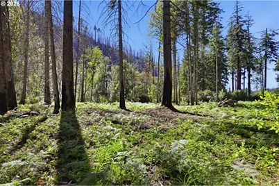 49380 McKenzie Hwy, Vida, OR 97488 - Photo 44