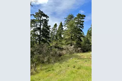 000 Robinhood Ave, Lakeside, OR 97449 - Photo 16
