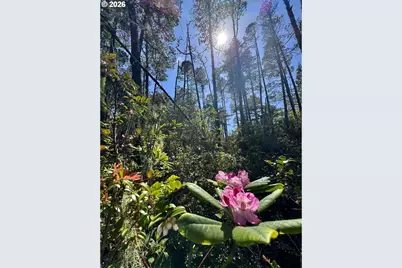 000 Robinhood Ave, Lakeside, OR 97449 - Photo 18