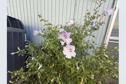 2462 Senate Way, Medford, OR 97504 - Photo 36