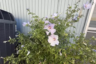 2462 Senate Way, Medford, OR 97504 - Photo 36