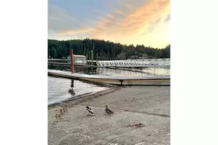 185 N 3rd St, Lakeside, OR 97449 - Photo 42