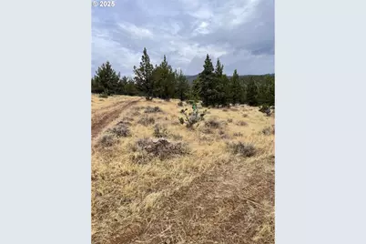 0 Wiley Creek Rd, Dayville, OR 97825 - Photo 22