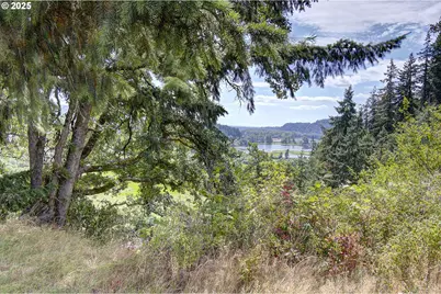 Little Jack Falls Rd, Rainier, OR 97048 - Photo 16