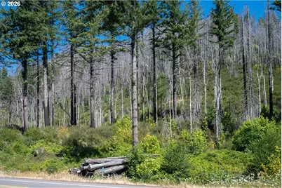 37989 N Santiam Hwy, Gates, OR 97346 - Photo 12