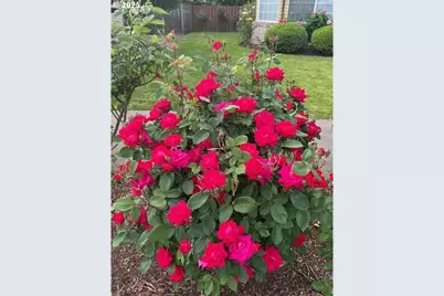 20515 SW 104th Ave, Tualatin, OR 97062 - Photo 40