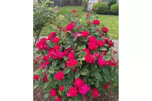 20515 SW 104th Ave, Tualatin, OR 97062 - Photo 40