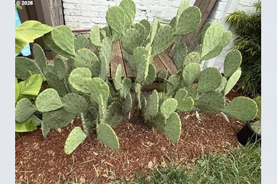 10709 SE 11th Cir, Vancouver, WA 98664 - Photo 34