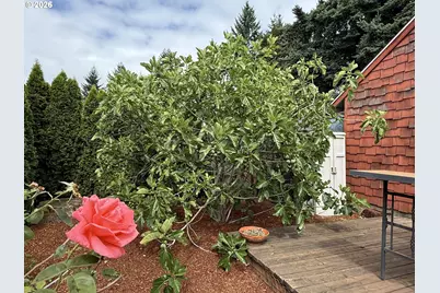 10709 SE 11th Cir, Vancouver, WA 98664 - Photo 32