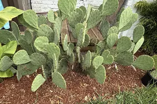 10709 SE 11th Cir, Vancouver, WA 98664 - Photo 36