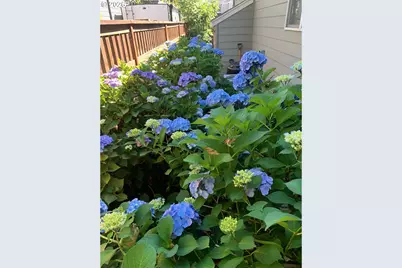 1540 22nd St, Hood River, OR 97031 - Photo 34