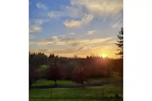 701 NW 184th St, Ridgefield, WA 98642 - Photo 46
