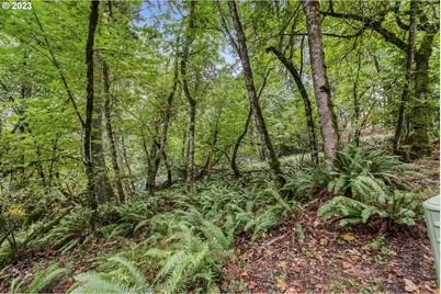 N Shasta Loop, Eugene, OR 97405 - Photo 1