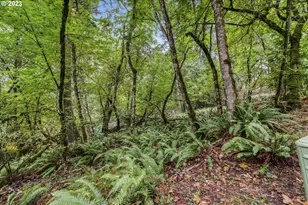 N Shasta Loop, Eugene, OR 97405 - Photo 1