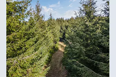 Criteser Loop, Toledo, OR 97391 - Photo 14