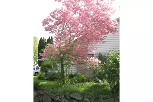 11601 SW 129th Pl, Portland, OR 97223 - Photo 20