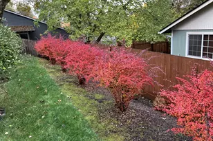 1354 Lea Ann Ct NW, Salem, OR 97304 - Photo 42