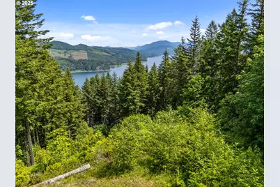 143 Meadow Ridge Way, Mossyrock, WA 98564 - Photo 4