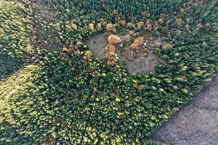 1480 Bridge Ln, Wolf Creek, OR 97497 - Photo 4