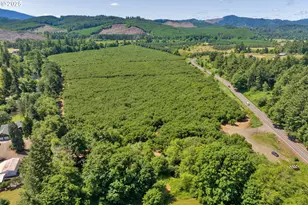 17246 Alsea Hwy, Alsea, OR 97324 - Photo 26