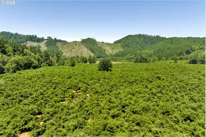 17246 Alsea Hwy, Alsea, OR 97324 - Photo 12