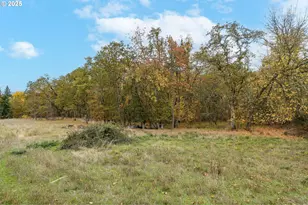 33781 Mt Tom Dr, Harrisburg, OR 97446 - Photo 44