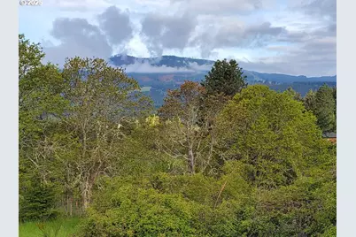 365 Rio Vista Dr, White Salmon, WA 98672 - Photo 4