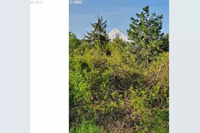 365 Rio Vista Dr, White Salmon, WA 98672 - Photo 2