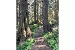 411 Elk Creek Rd, Cannon Beach, OR 97110 - Photo 22