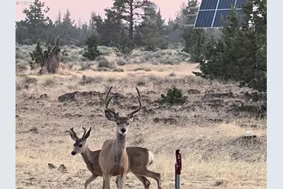 12510 SW Geneva Rd, Culver, OR 97734 - Photo 38