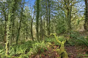 14501 NE 9th Ct, Vancouver, WA 98685 - Photo 26