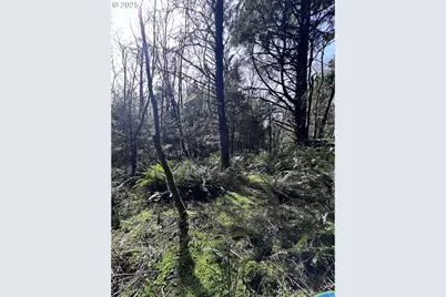 Greenleaf Road, Arch Cape, OR 97102 - Photo 8