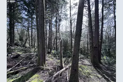 Greenleaf Road, Arch Cape, OR 97102 - Photo 6
