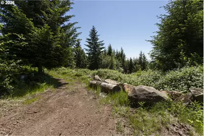 000 NE 292nd Ct, Camas, WA 98607 - Photo 4