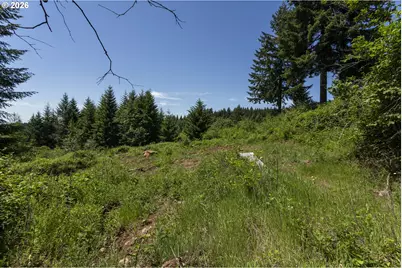 000 NE 292nd Ct, Camas, WA 98607 - Photo 12