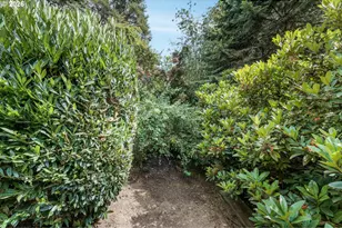 14895 SW 141st Ave, Portland, OR 97224 - Photo 38