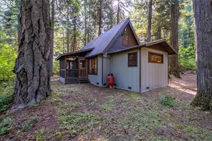 49053 Salt Creek Rd, Oakridge, OR 97463 - Photo 36